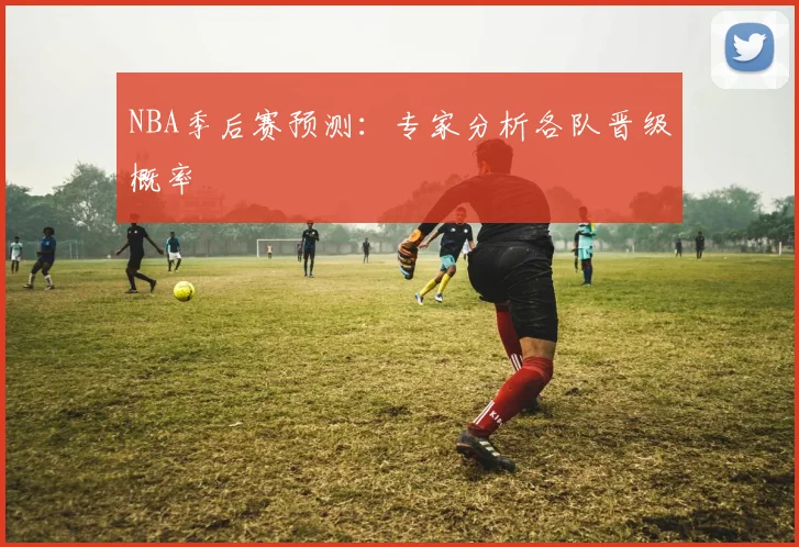 NBA季后赛预测:专家分析各队晋级概率